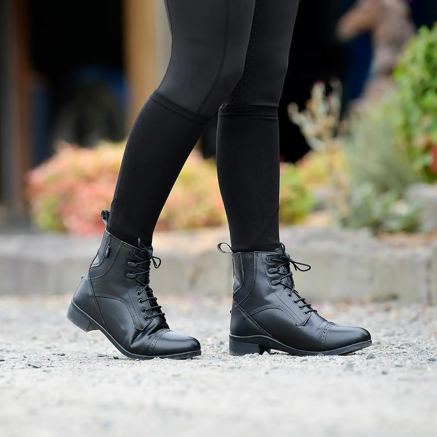 Saxon Syntovia Lace Paddock Boots